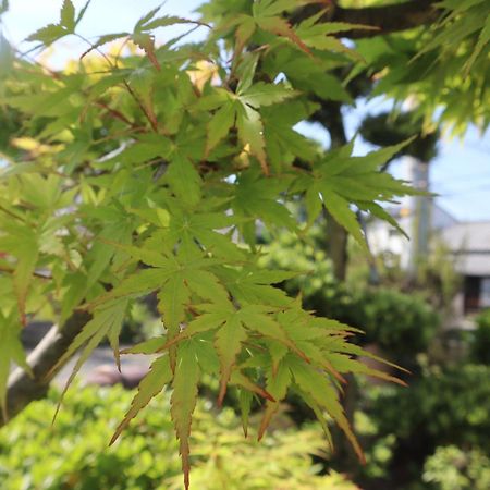 立花荘 Βίλα Ματσουγιάμα Εξωτερικό φωτογραφία